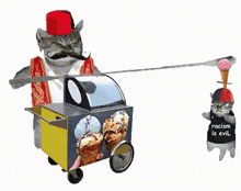 a cat is pulling an ice cream cart while another cat wearing a shirt that says racism is evil watches