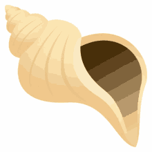 shell life