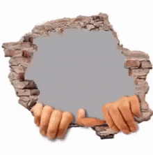 a person is holding a rock in their hands in front of a brick wall .