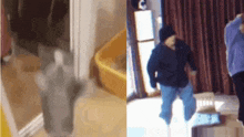 a cat is standing next to a yellow litter box and a person is dancing in a room .