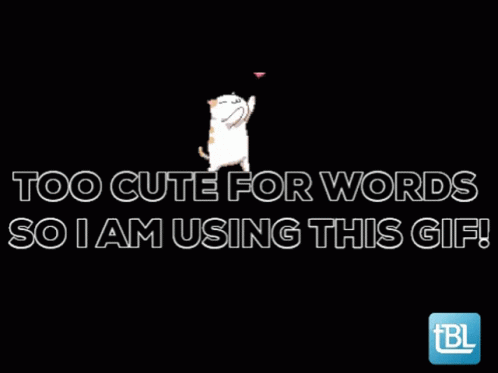 Cat Quotes GIF - Cat Quotes Too Cute - Discover & Share GIFs