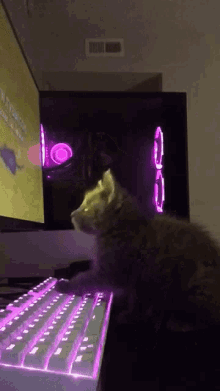 Cat Gamer Cat GIF - Cat Gamer Cat Cat Computer GIFs