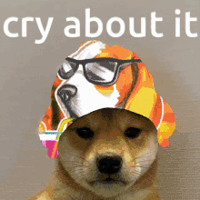 Cry About It Rainbow Dog Doozy Clan Rainbow Dog GIF - Cry About It Rainbow Dog Doozy Clan Rainbow Dog GIFs