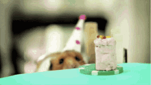 Cuando Tienes Hambre Jaja Hamster GIF - Cuando Tienes Hambre Jaja Hamster Happy Birthday GIFs