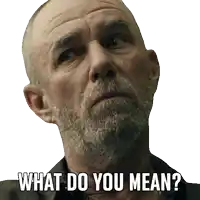 a man with a beard has the words what do you mean on his face