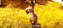 I Need A Hug Donkey GIF