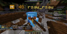 a screenshot of a minecraft game with the username 481rsaw