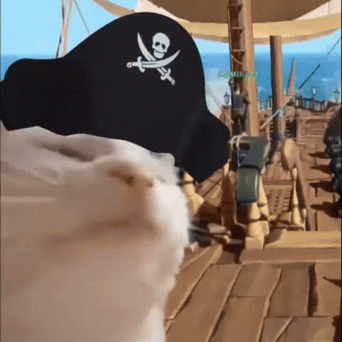 cat nodding head in a pirate ship