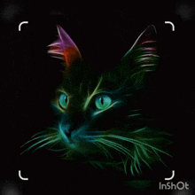 Green Cat GIF