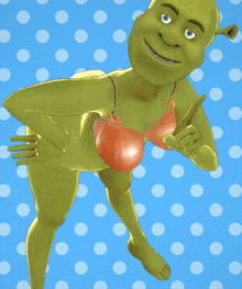 shrek is wearing a red bra and pointing