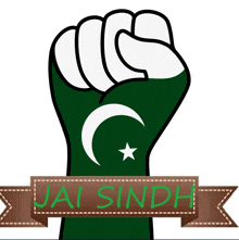 Sindh Pakistan GIF - Sindh Pakistan Pakistan Flag GIFs