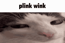 Plink Wink GIF - Plink Wink Plink Wink GIFs