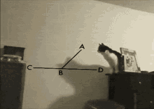 Cat Math Cat GIF - Cat Math Cat Cat Jump GIFs