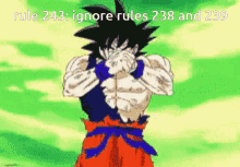 Rules Goku GIF - Rules Goku Discord Rules GIFs