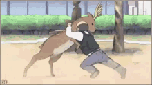 バカ GIF - Deer Fight Suplex GIFs