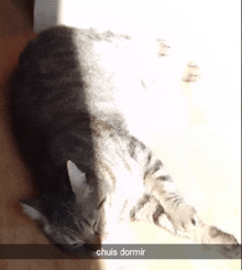 a cat is laying on the floor with the caption chuis dormir