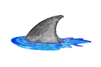 a shark 's fin is floating in the ocean