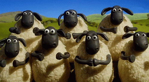 Sheep Black Sheep GIF - Sheep Black Sheep New Zealand GIFs