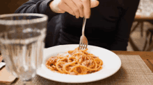 spaghetti pasta italian food spaghetti day happy spaghetti day