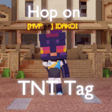 Hop On Hypixel GIF - Hop On Hypixel Tnt Tag GIFs