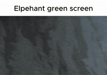 a picture of a hand with the words elpehant green screen above it