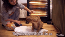 They All Carry Souls Just Like Us Viralhog GIF