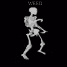 Skeleton Dance Weed GIF - Skeleton Dance Weed GIFs