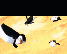Apex Legends Penguins Of Madagascar GIF - Apex Legends Penguins Of Madagascar Penguins GIFs