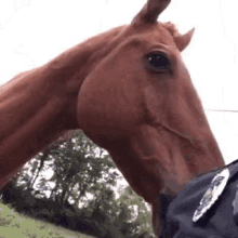 Horse Police GIF - Horse Police Yes GIFs