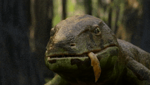 Life On Our Planet Anthracosaurus GIF - Life On Our Planet Anthracosaurus Amphibian GIFs