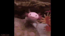 Axolotl Yawn GIF - Axolotl Yawn GIFs
