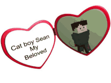 Sean Cat GIF - Sean Cat Coronacraft GIFs