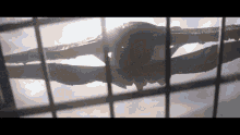 a plane is visible through a window with the sun shining through