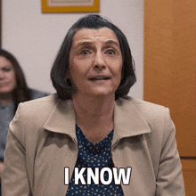 I Know Alison Martin GIF - I Know Alison Martin I Think You Should Leave With Tim Robinson GIFs