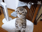Over Here GIF - Over Here Overhere GIFs