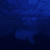 a blue background with the words go go go goal