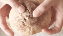 Pulling The Cookies Apart Two Plaid Aprons GIF - Pulling The Cookies Apart Two Plaid Aprons Separating The Cookies GIFs