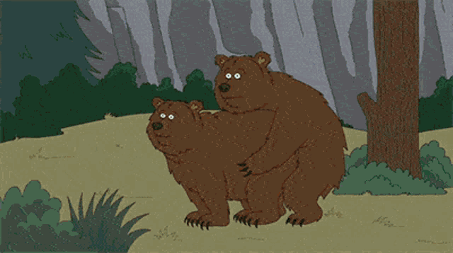 Mating Animals GIF - Mating Animals Funny - Discover & Share GIFs