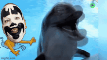 Shaggy2dope Dolphin GIF - Shaggy2dope Dolphin Shaggy And The Creep GIFs