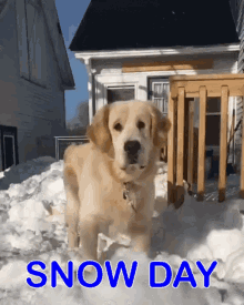 Snow Day Day Off GIF - Snow Day Day Off School Canceled GIFs