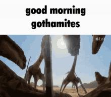 Good Morning Gothamites GIF - Good Morning Gothamites Prehistoric Planet GIFs