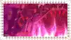 a picture of a pink and red background with a white frame