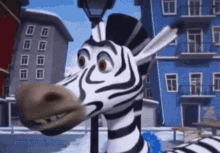 Zebra зебра GIF - Zebra зебра ზებრა GIFs