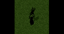 a shadow of a person is cast on the grass