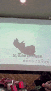 a projector screen displays a shadow of a person with chinese writing on it