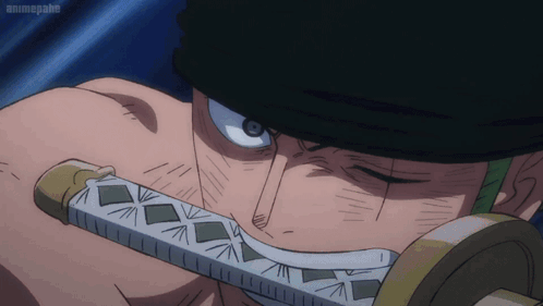 Zoro Wano GIF - Zoro Wano - Discover & Share GIFs in 2023