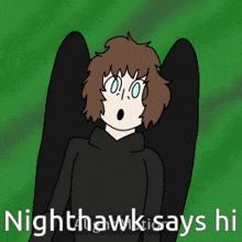 a cartoon of a person with wings and the words nighthawk says hi