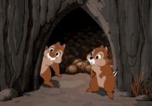 I Don'T Know  GIF - Chipmunks Squirrel Cartoon GIFs