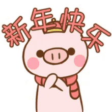 chinese pig