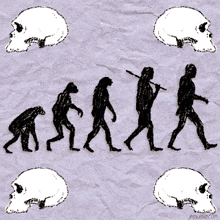 Homo Sapiens Skulls GIF